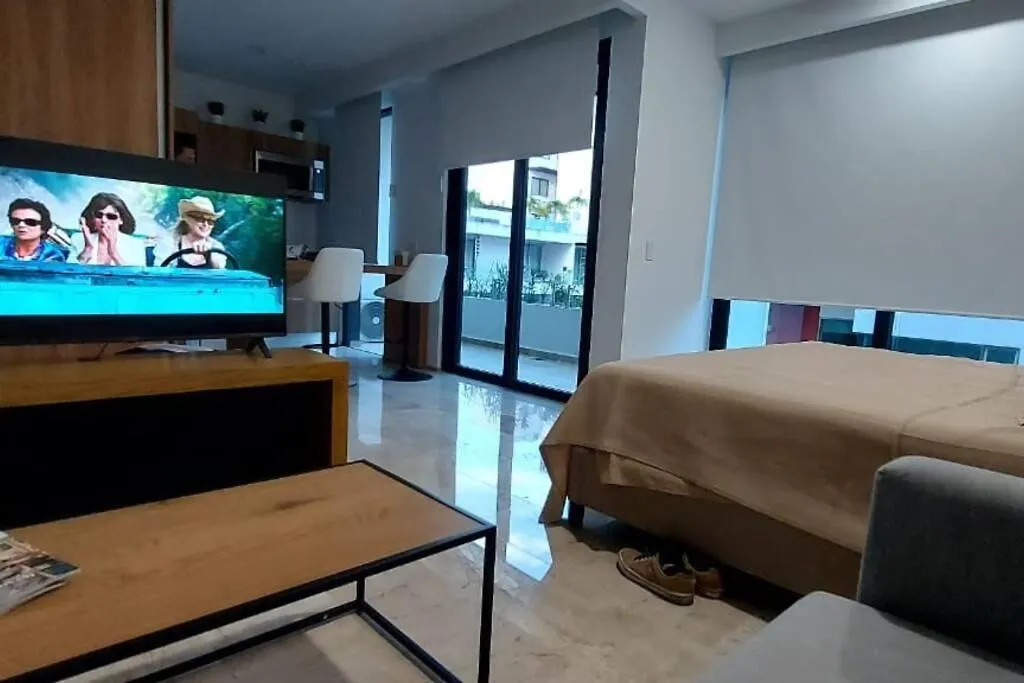 Loft Nuevo Ubicacion Entre La 5A Y La Playa Apartment Playa del Carmen 0*,  Mexico