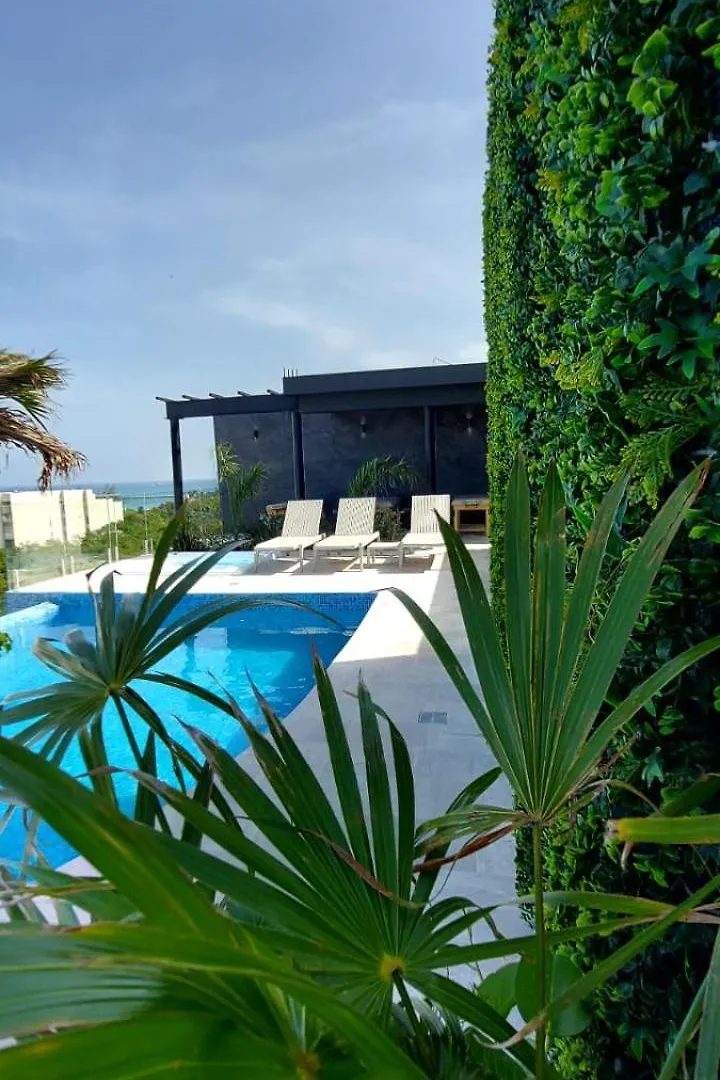 Loft Nuevo Ubicacion Entre La 5A Y La Playa Apartment Playa del Carmen